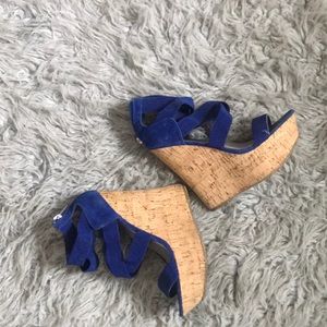 Navy Blue Platforms Wedges